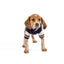 Varsity Dog Sweater
