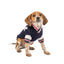 Varsity Dog Sweater