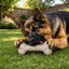 USA-K9 Stars and Stripes Bone Nylon Dog Chew Toy for Aggressive Chewers | USA Made