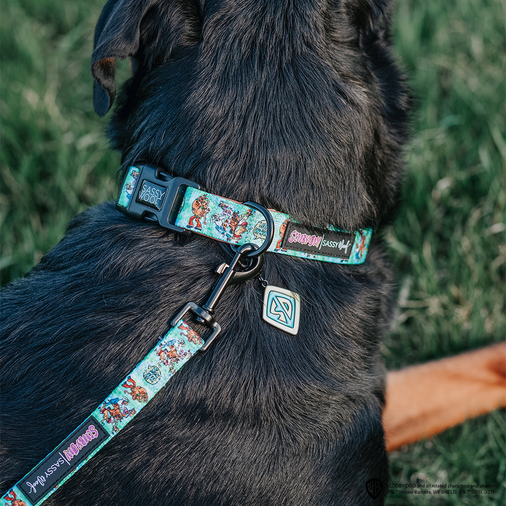 Dog Leash - Scooby-Doo™