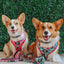 Dog Adjustable Harness - Looney Tunes™ Blue