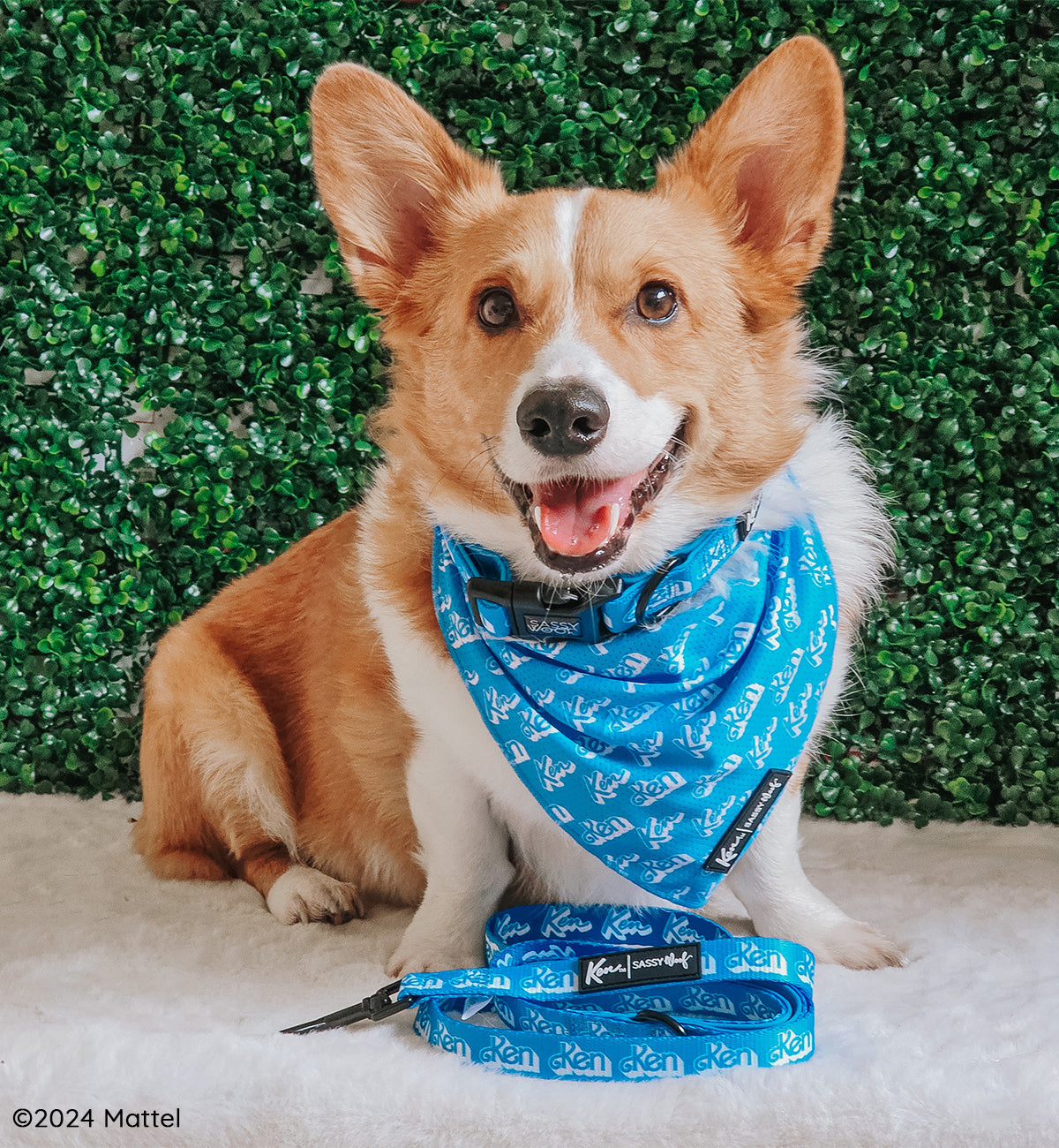 Dog Collar - KEN™