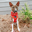 Dog Adjustable Harness - Disney Holiday Collection