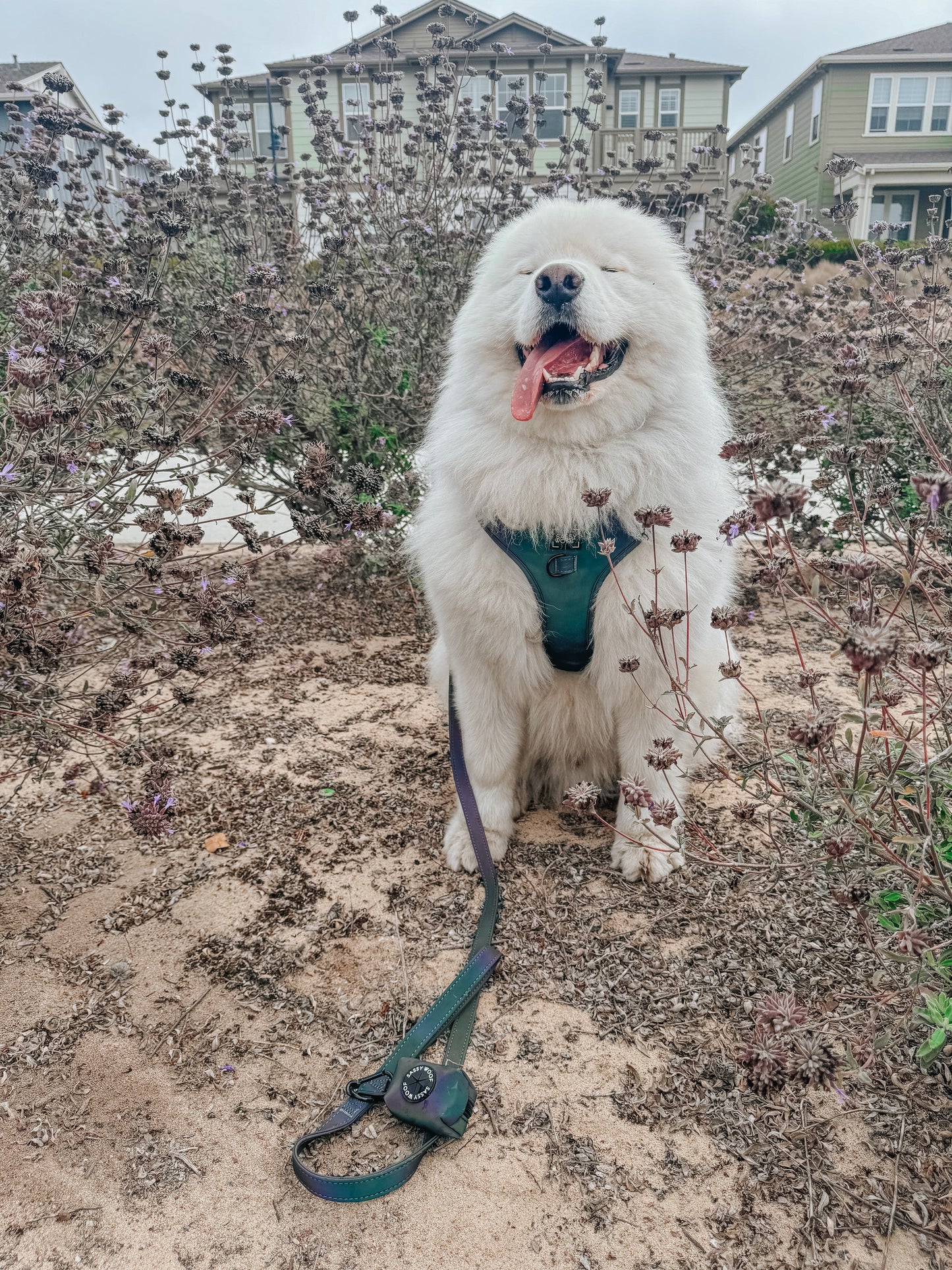 Dog Adjustable Harness - Reflection