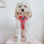 Dog Adjustable Harness - The Powerpuff Girls™ (Love)