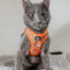 Cat Step-In Harness - Garfield™️