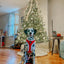 Dog Adjustable Harness - Naughty