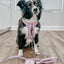 Dog Adjustable Harness - BARBIE™ Closet Goals