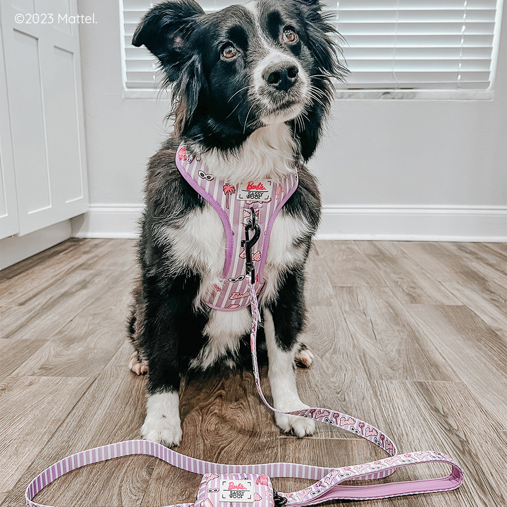 Dog Adjustable Harness - BARBIE™ Closet Goals