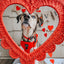 Dog Collar - Neon Red
