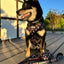 Dog Adjustable Harness - STAR WARS™ The Dark Side