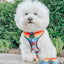 Dog Adjustable Harness - Love You Fur You