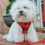 Dog Collar - The Nightmare Before Christmas™ (Red)