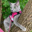 Kitty Holster Cat Harness (Made in USA Reflective Safety Harness)