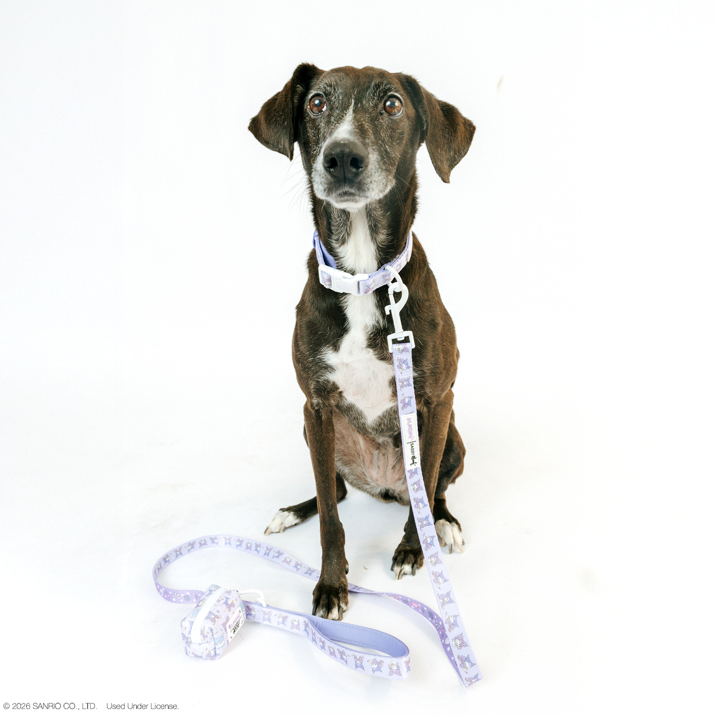 Dog Collar - Kuromi™