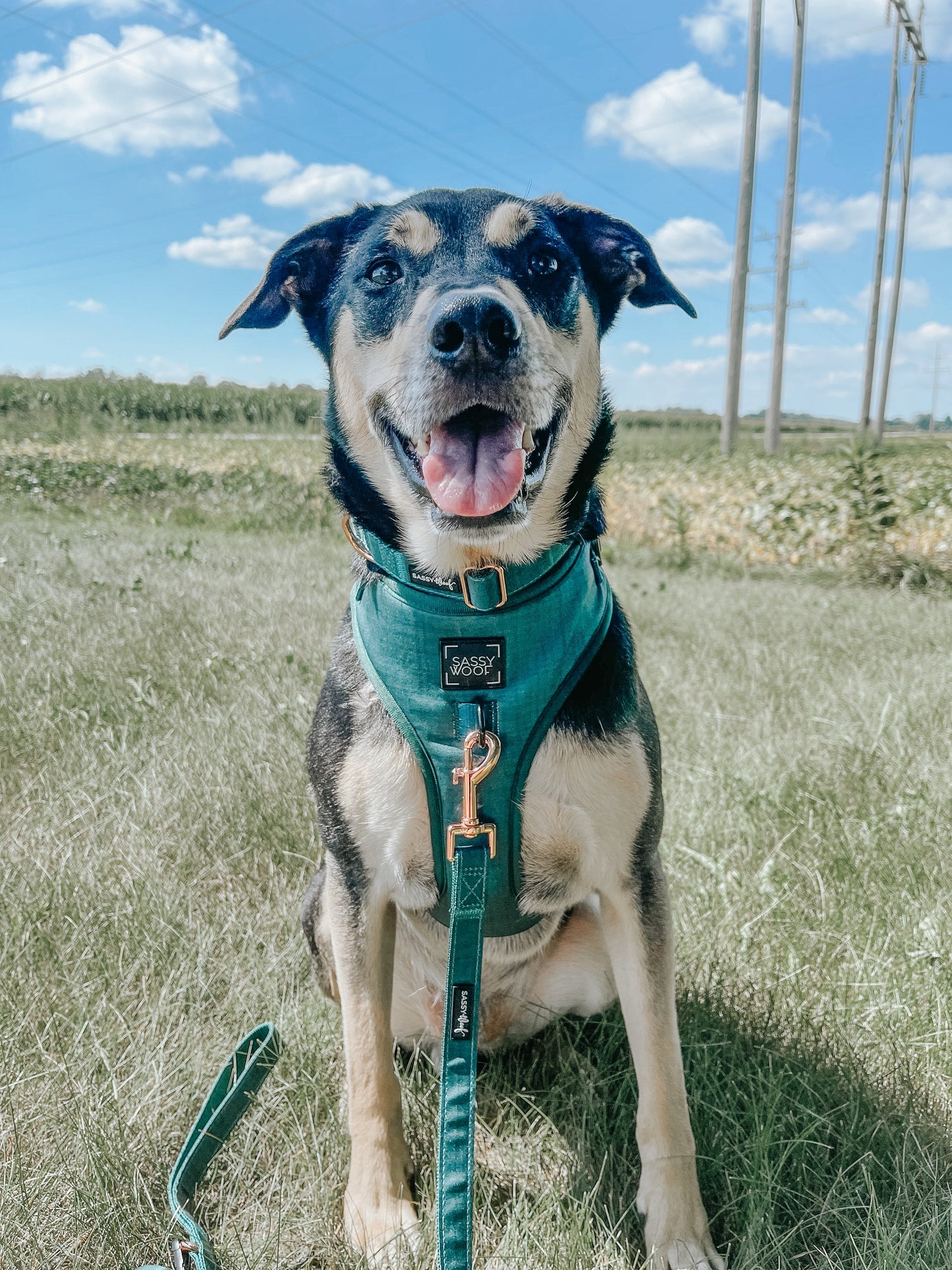 Dog Adjustable Harness - Forest