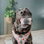 Dog Adjustable Harness - P.S. I Woof You