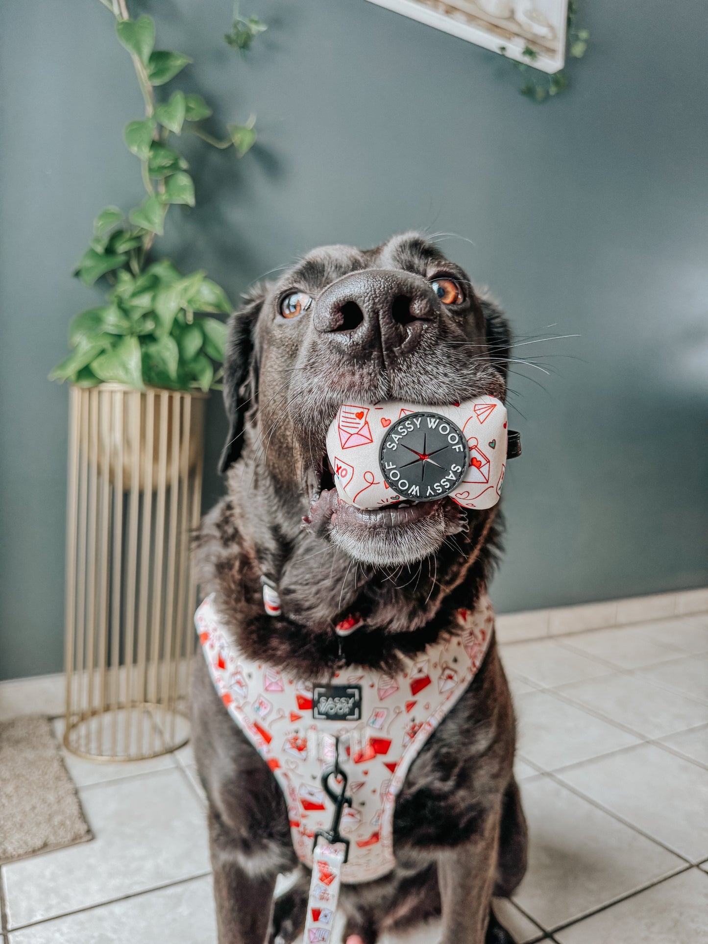 Dog Adjustable Harness - P.S. I Woof You