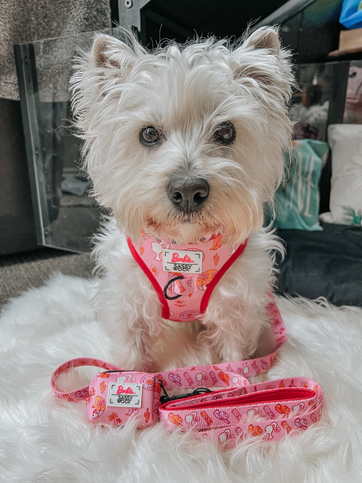 Dog Collar - Western Barbie™