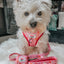 Dog Adjustable Harness - Western Barbie™