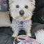 Dog Leash - Alice in Wonderland (Purple)