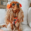Dog Adjustable Harness - Peanuts™ Harvest