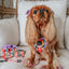 Dog Adjustable Harness - Disney's Bambi