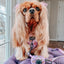 Dog Adjustable Harness - Tea Pawty