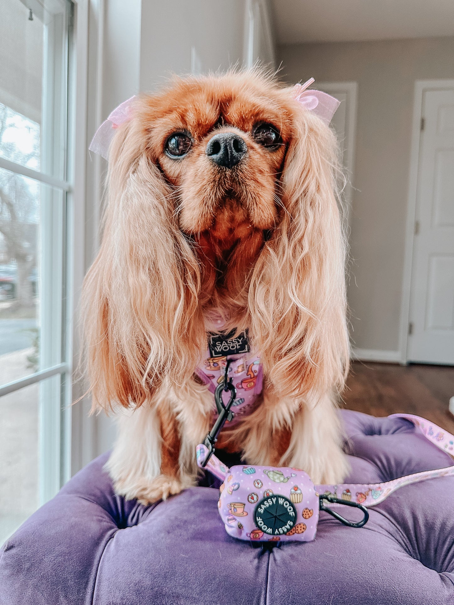 Dog Adjustable Harness - Tea Pawty