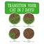 Cats in the Kitchen Lamb Burger-ini Lamb Recipe Au Jus