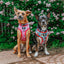 Dog Adjustable Harness - Looney Tunes™ Blue