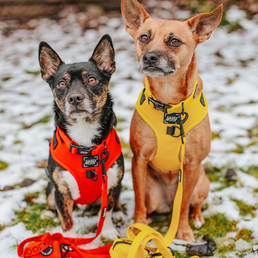 Dog Adjustable Harness - Neon Red