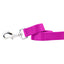 Raspberry Nylon Dog Leash