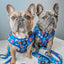 Dog Adjustable Harness - Blue's Clues™