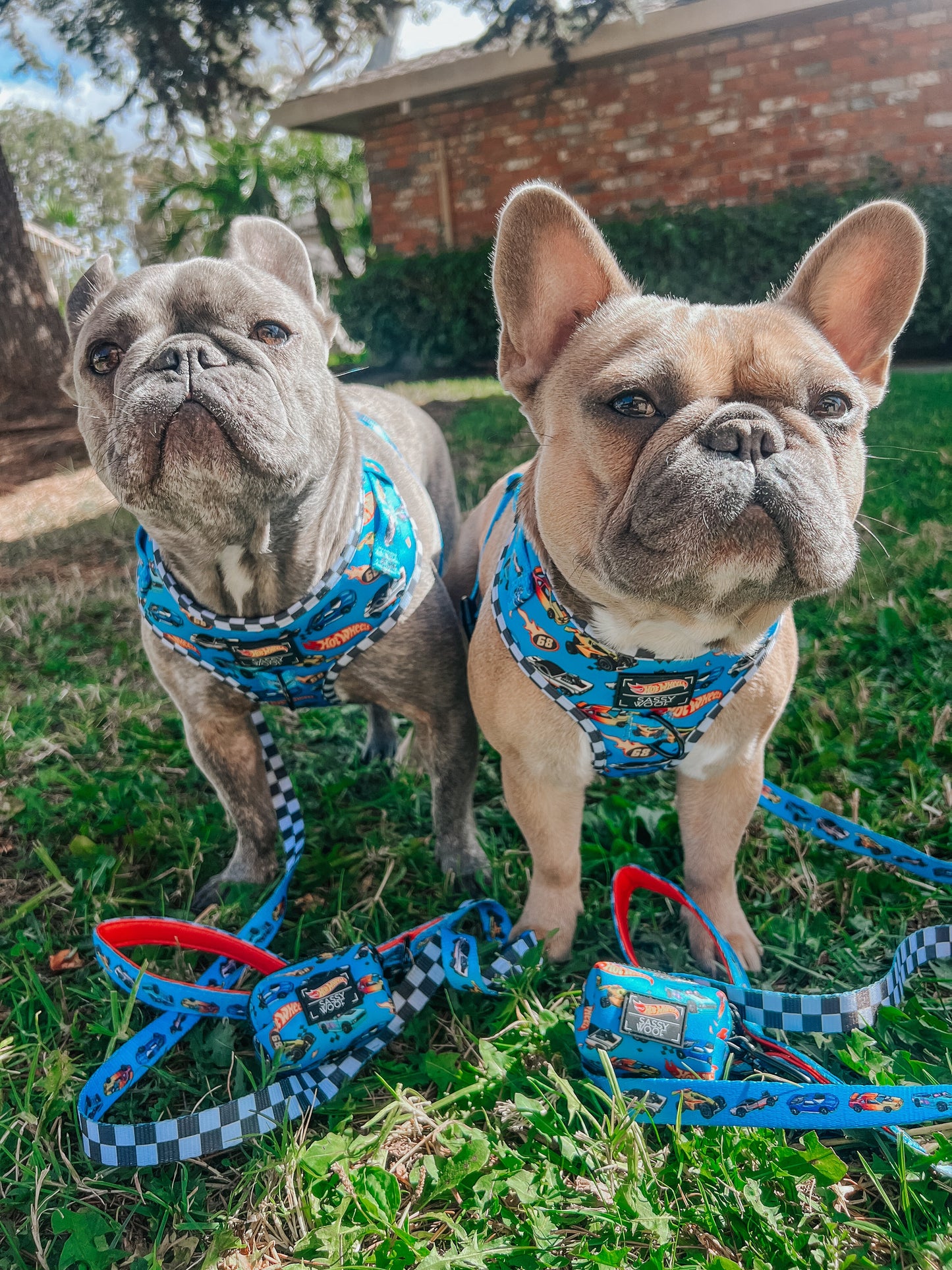 Dog Leash - Hot Wheels™