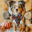 Dog Adjustable Harness - Neon Frights