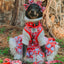 Dog Adjustable Harness - Hello Kitty® Red Classic