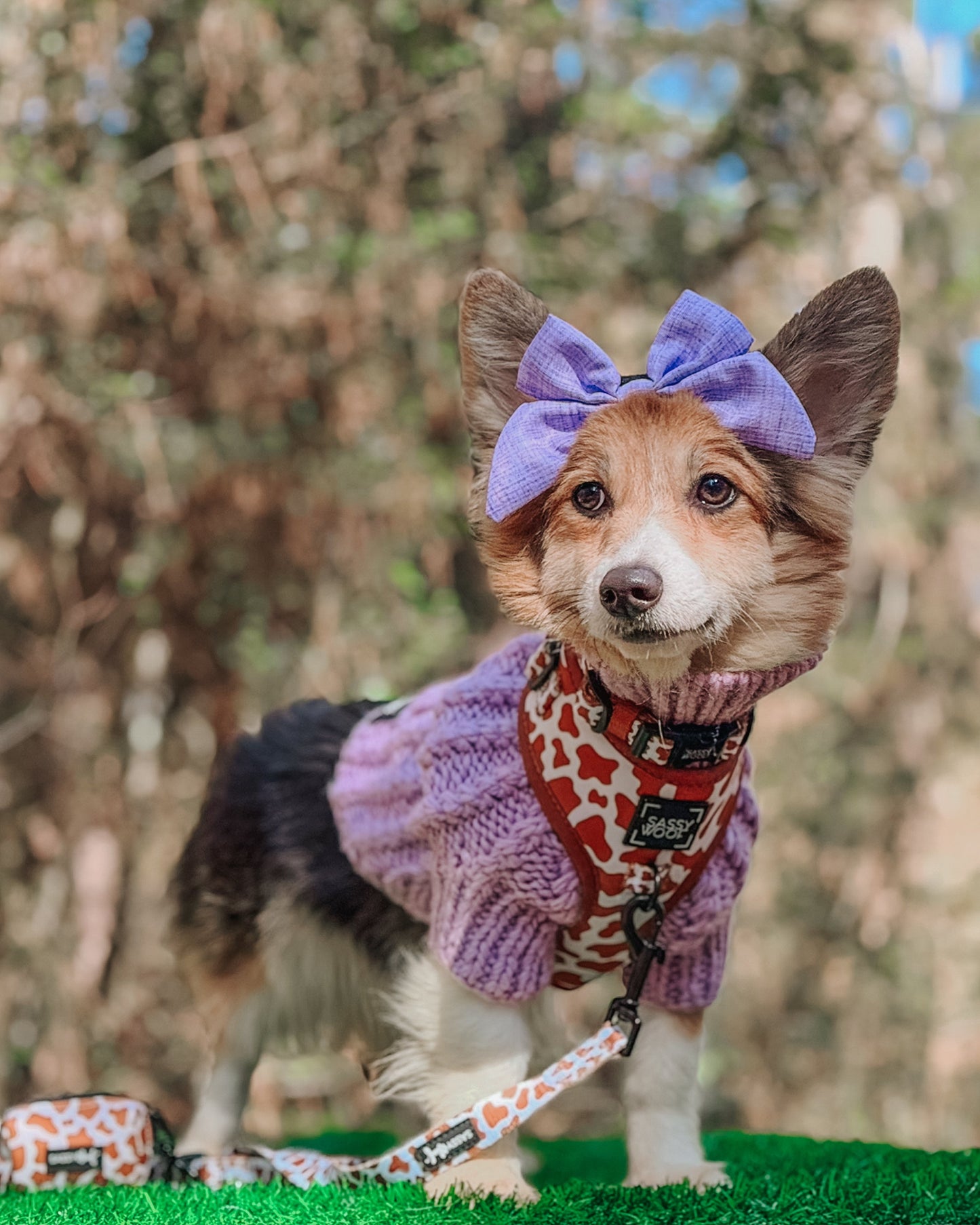 Dog Adjustable Harness - Chocolate Milk