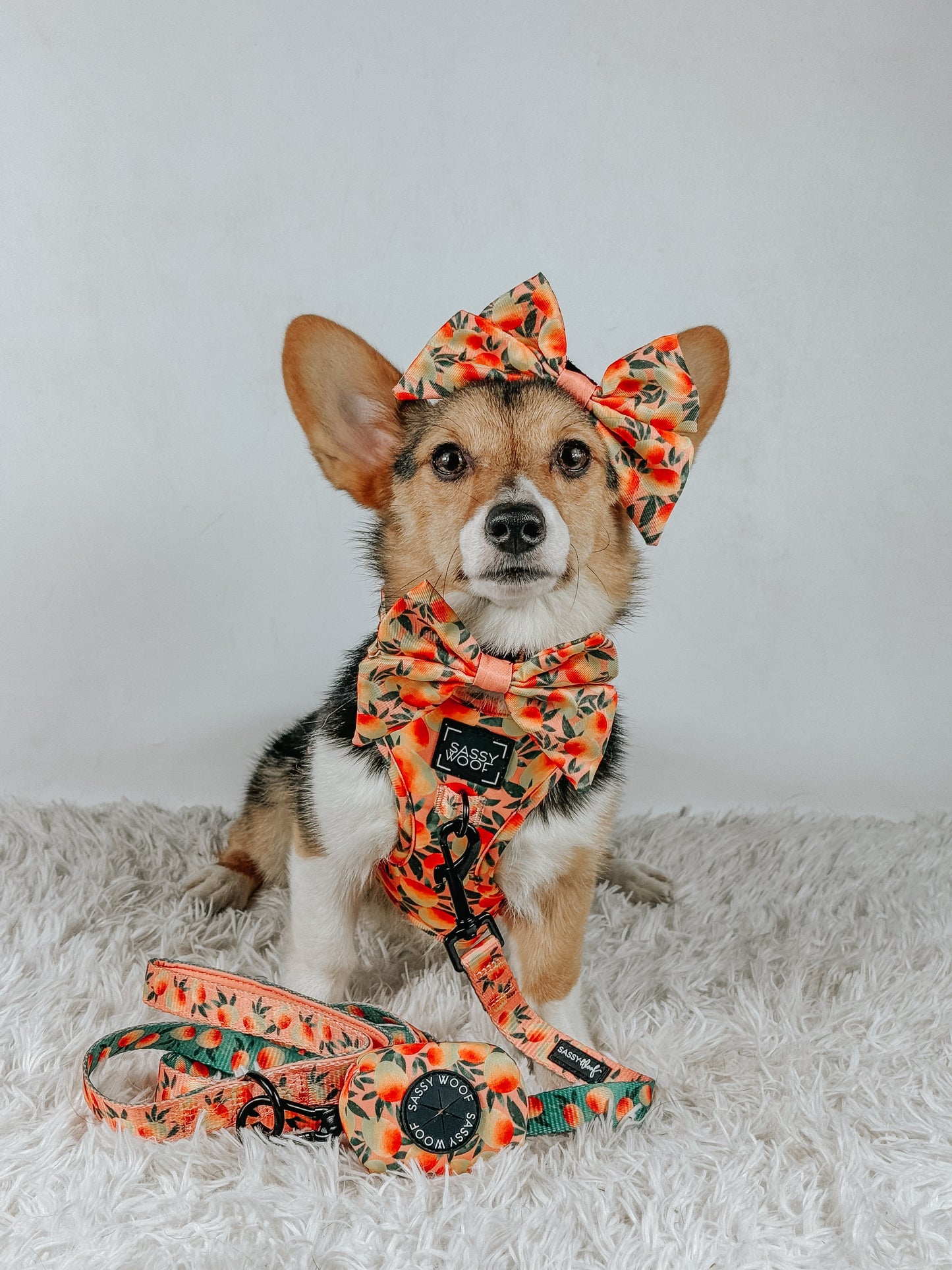 Dog Adjustable Harness - Mango Tango