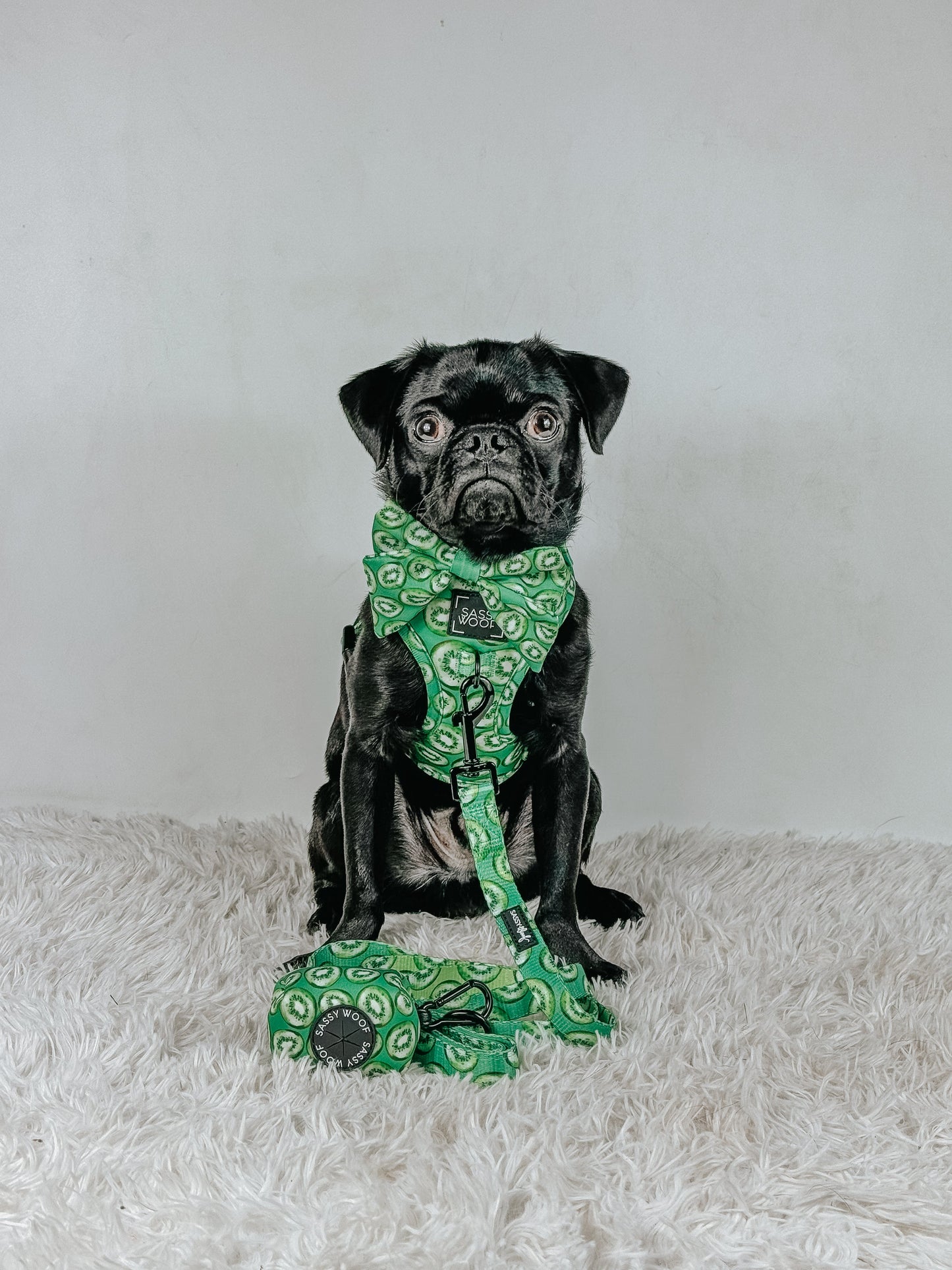 Dog Adjustable Harness - Kiwi Krazy