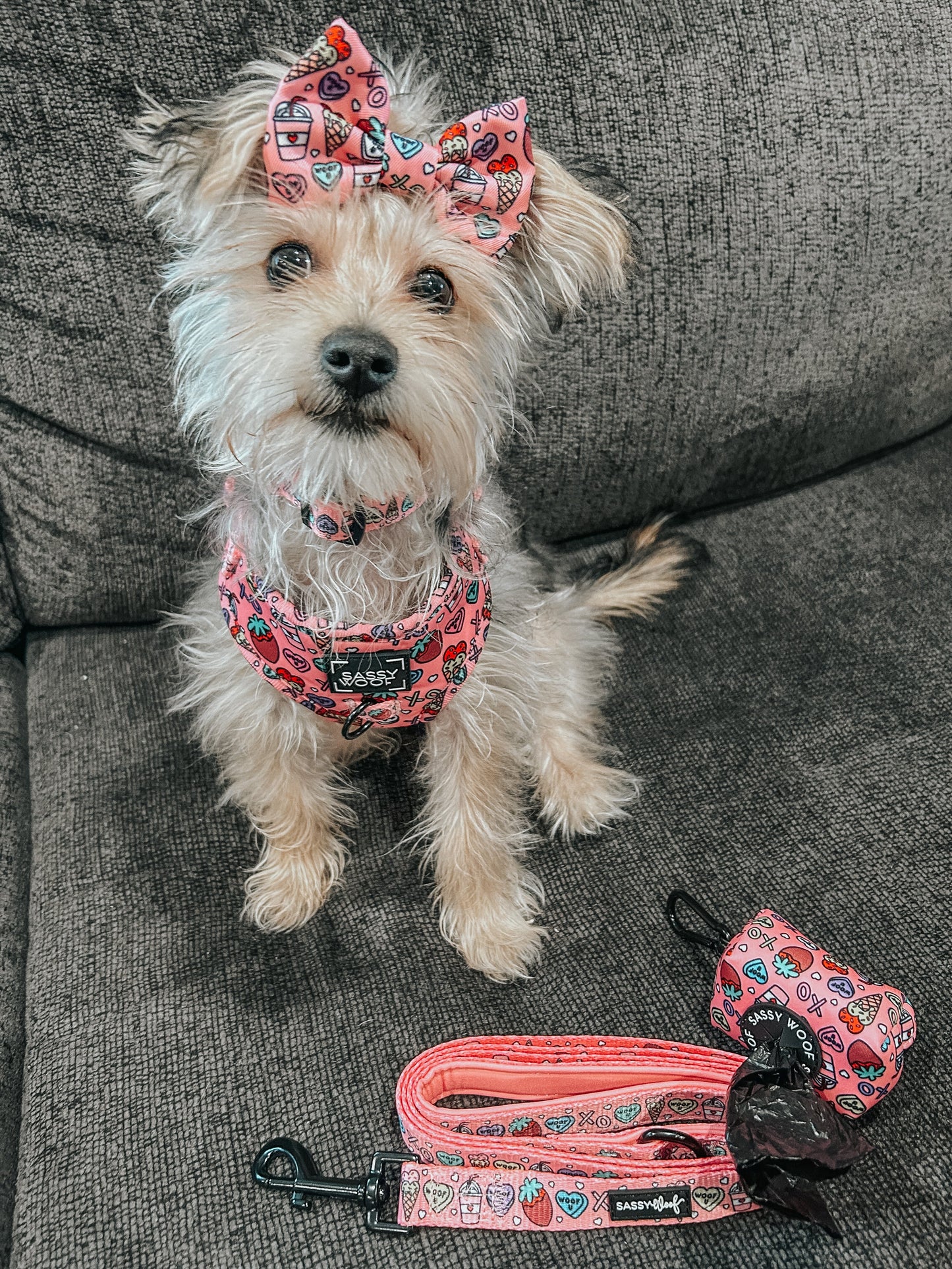 Dog Collar - I Chews You