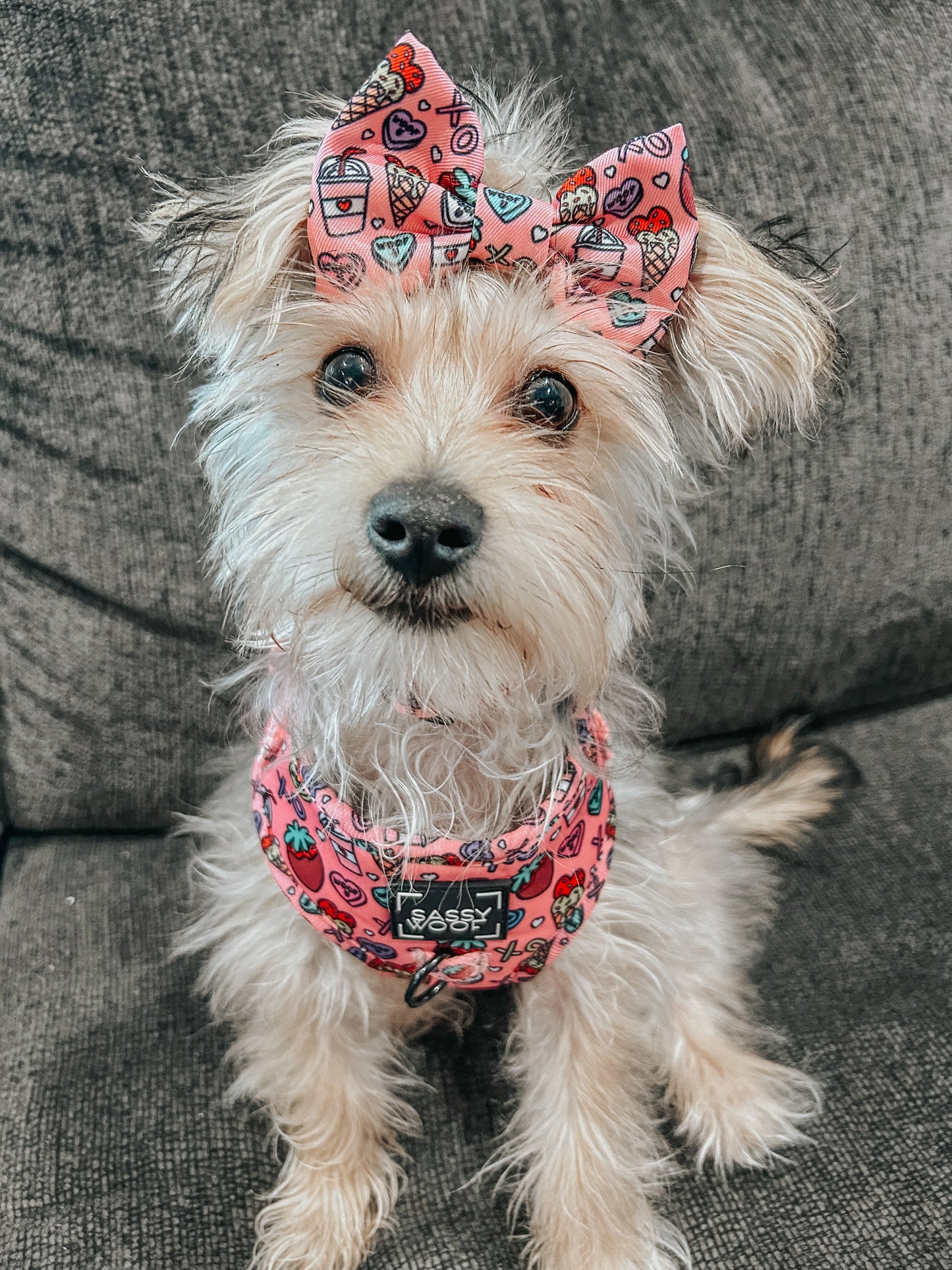 Dog Adjustable Harness - I Chews You