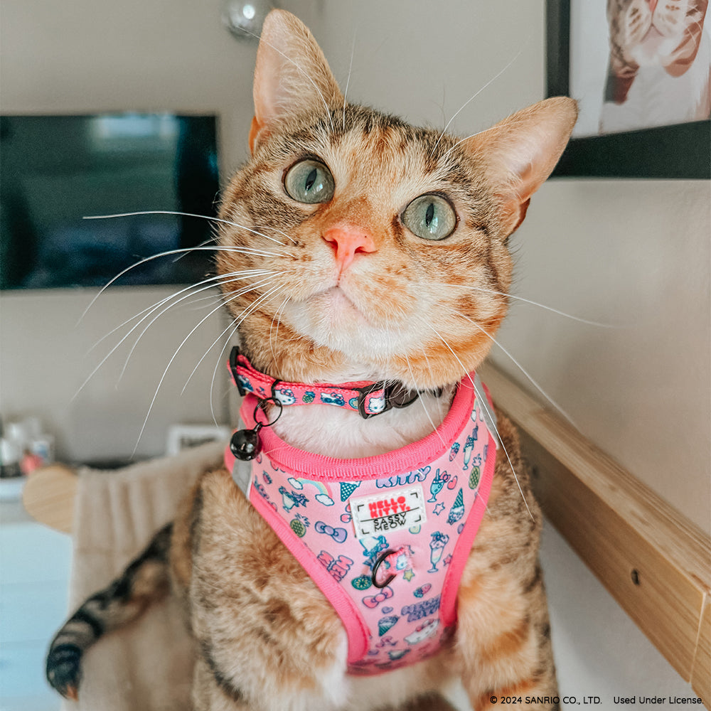 Cat Collar - Hello Kitty® Pink