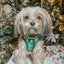 Dog Adjustable Harness - Elf™