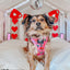 Dog Adjustable Harness - The Powerpuff Girls™ (Love)