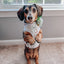Dog Adjustable Harness - Pup of Honor