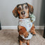 Dog Collar - Pup of Honor