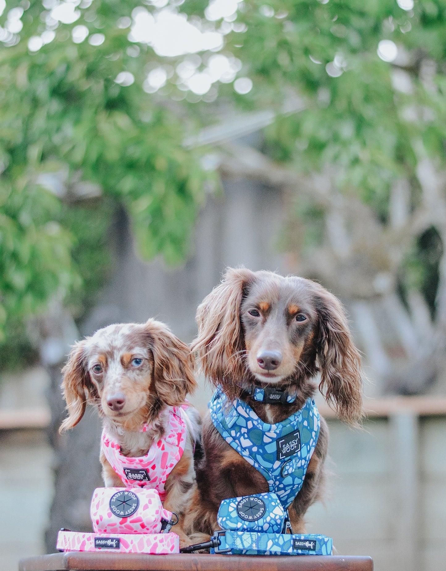 Dog Adjustable Harness - Mykonos