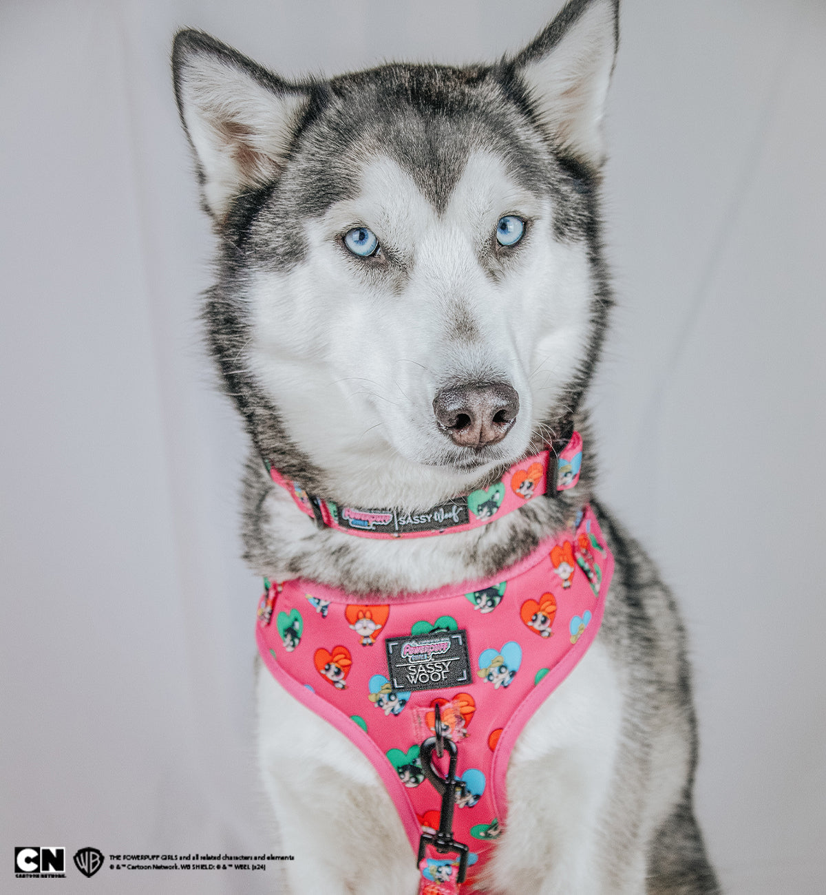 Dog Adjustable Harness - The Powerpuff Girls™ (Love)