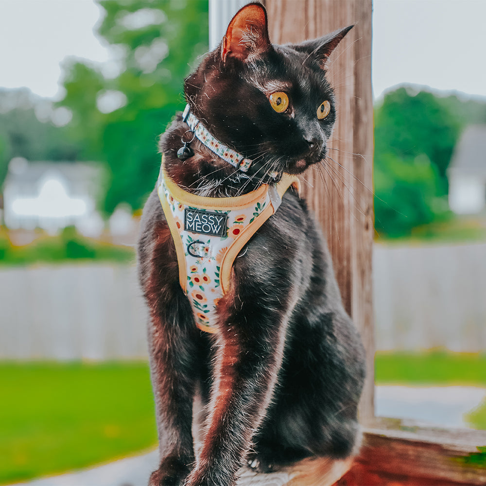 Cat Step-In Harness - Sunflower Dreams
